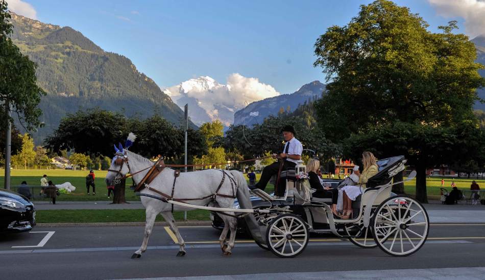 culinary horse carriage ride